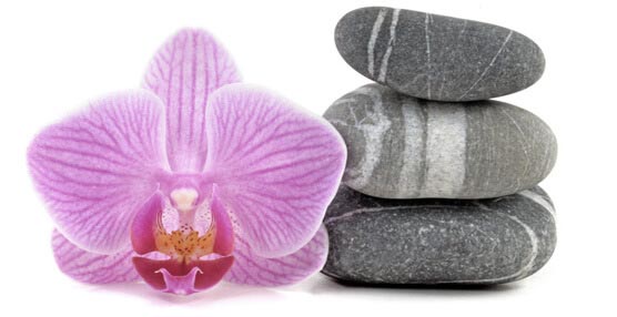 Spray Tan Sugar Land, Spray Tan Houston, Laser Hair Removal Sugar Land, Laser Hair Removal Houston